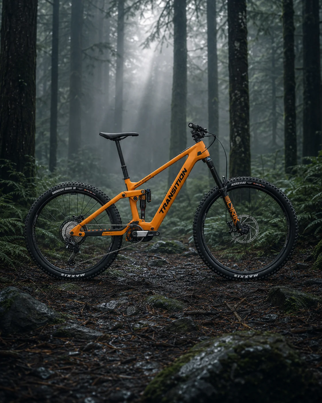 Transition Regulator SX Carbon